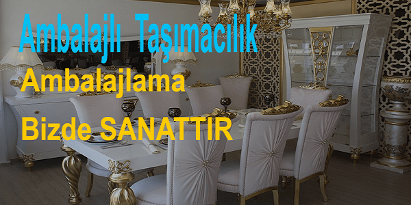 ambalajlı taşımacılık